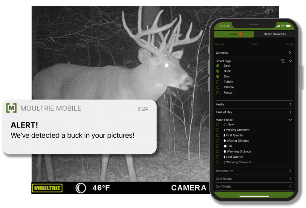 Comment fonctionne une caméra de chasse connectée avec le téléphone ? – Ma  Caméra de Chasse