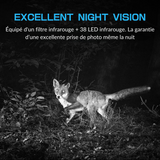 caméra de chasse vision nocturne infrarouge