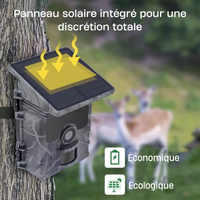 caméra de chasse solaire intégré 