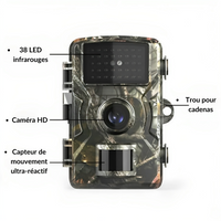 caméra de chasse vision nocturne 